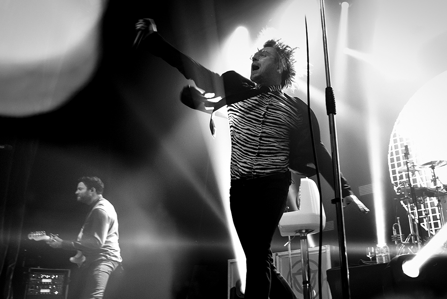 the wombats